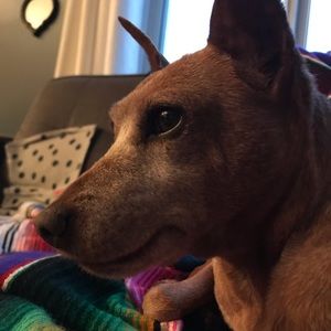 Meet your Posher, Christina